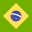 Brazil flag