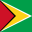 Guyana flag