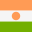 Niger flag
