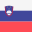 Slovenia flag